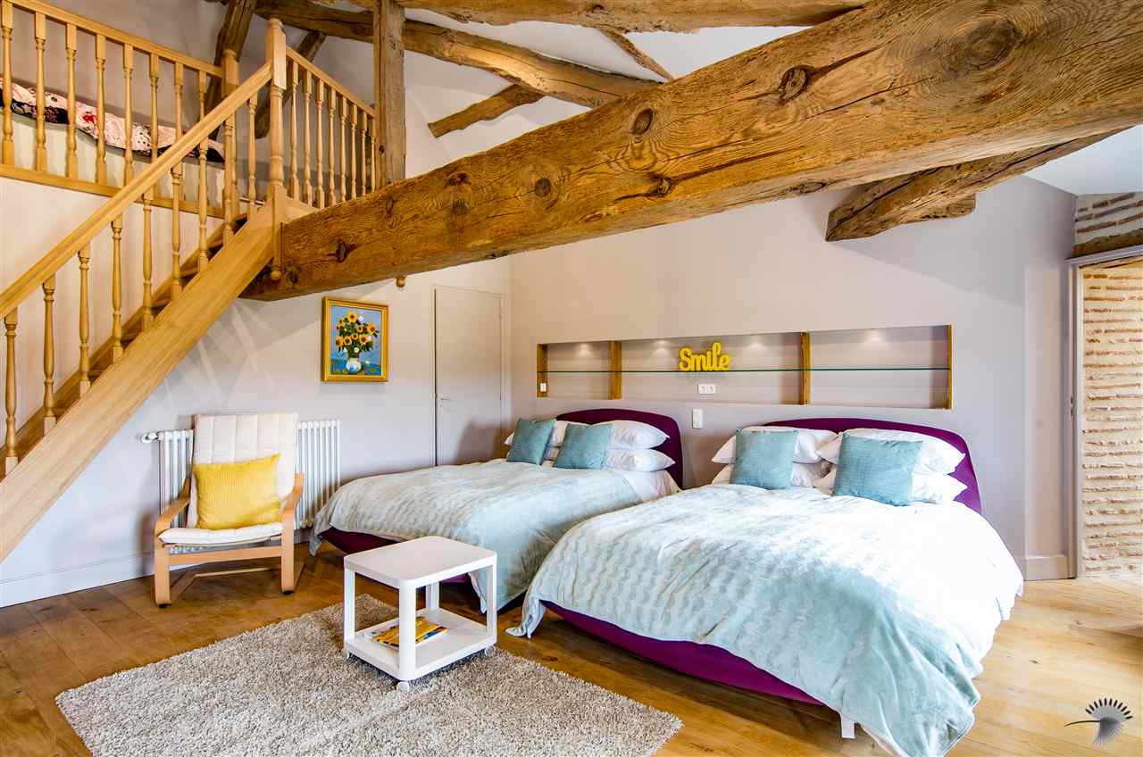 resized-2349823-Bouf (4).jpg